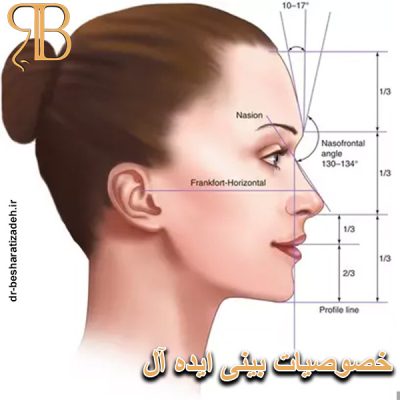 خصوصیات بینی ایده آل - dr-besharatizadeh.ir